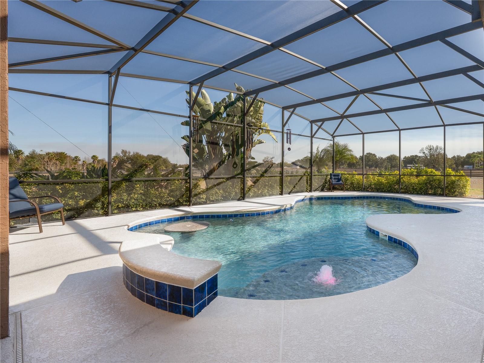29222 CAN DO LN, TAVARES, FL — photo 61