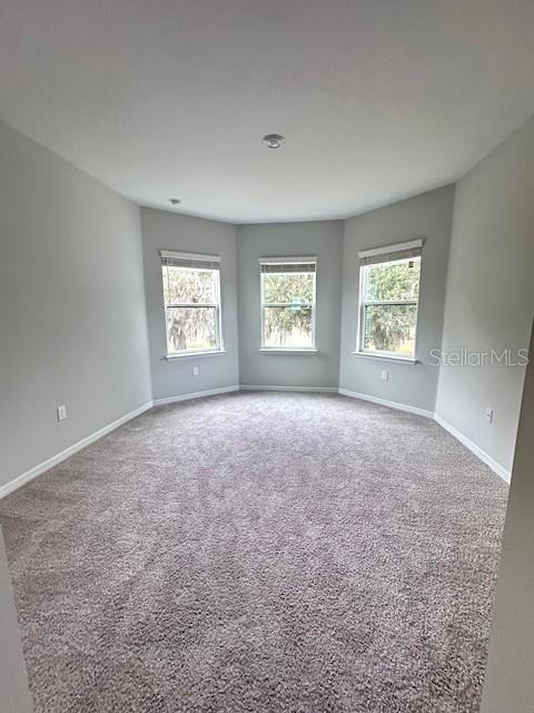 3860 ROSE MALLOW DR, KISSIMMEE, FL — photo 9