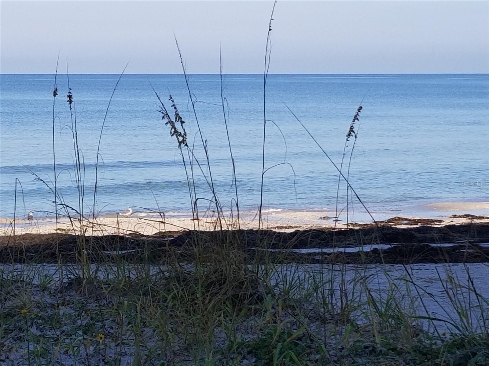 60 GULF BLVD #201, INDIAN ROCKS BEACH, FL — photo 5