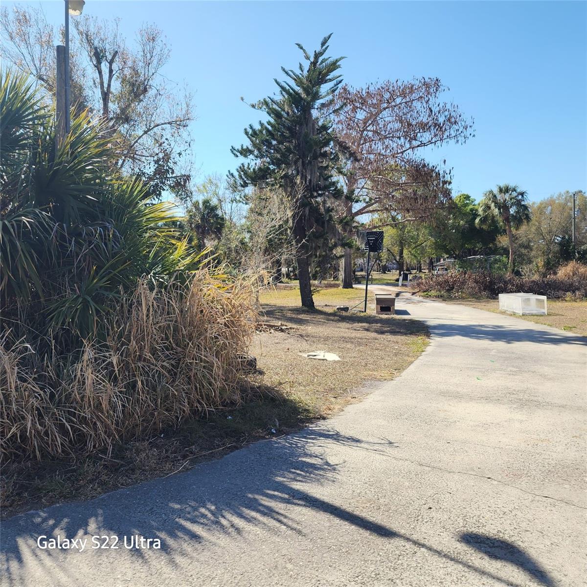 , ARCADIA, FL — photo 3