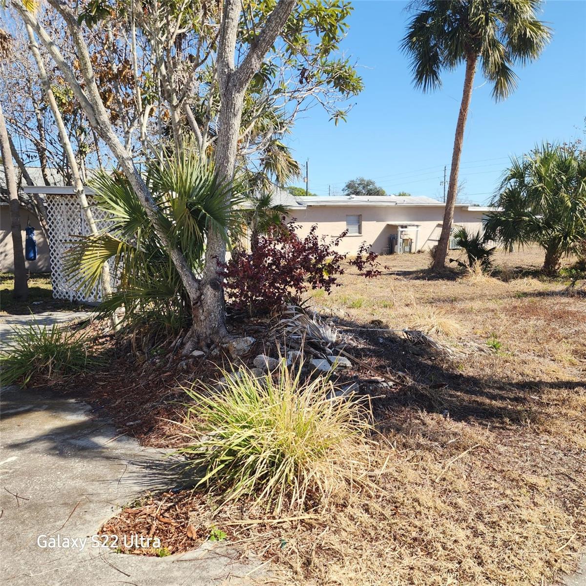 , ARCADIA, FL — photo 4
