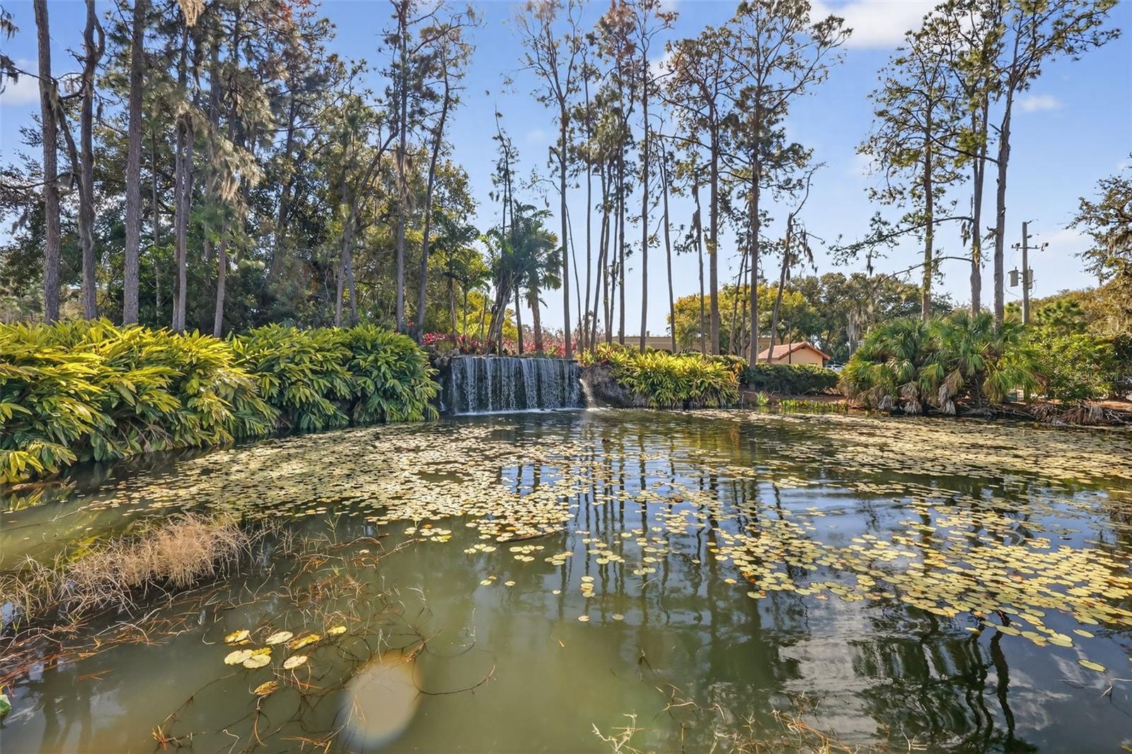 9930 SANTA BARBARA CT, HOWEY IN THE HILLS, FL — photo 75