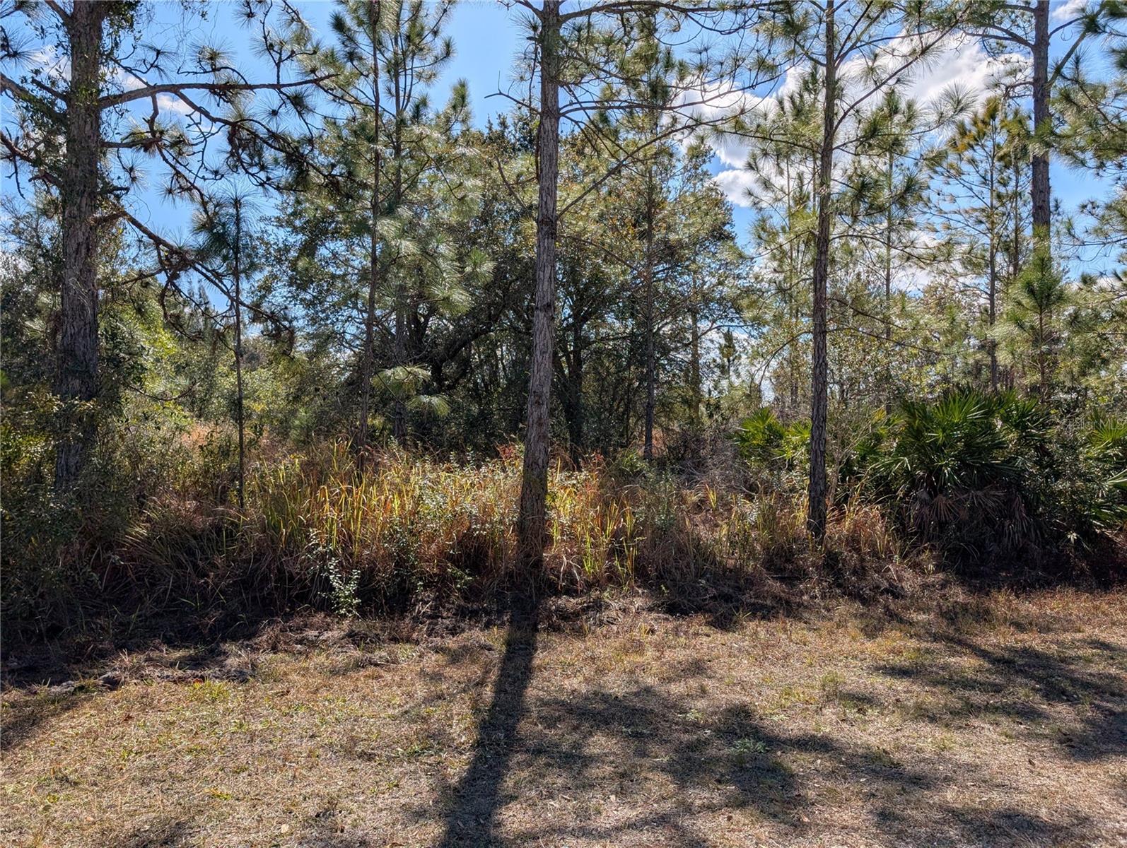 711 AZALEA DR, INDIAN LAKE ESTATES, FL