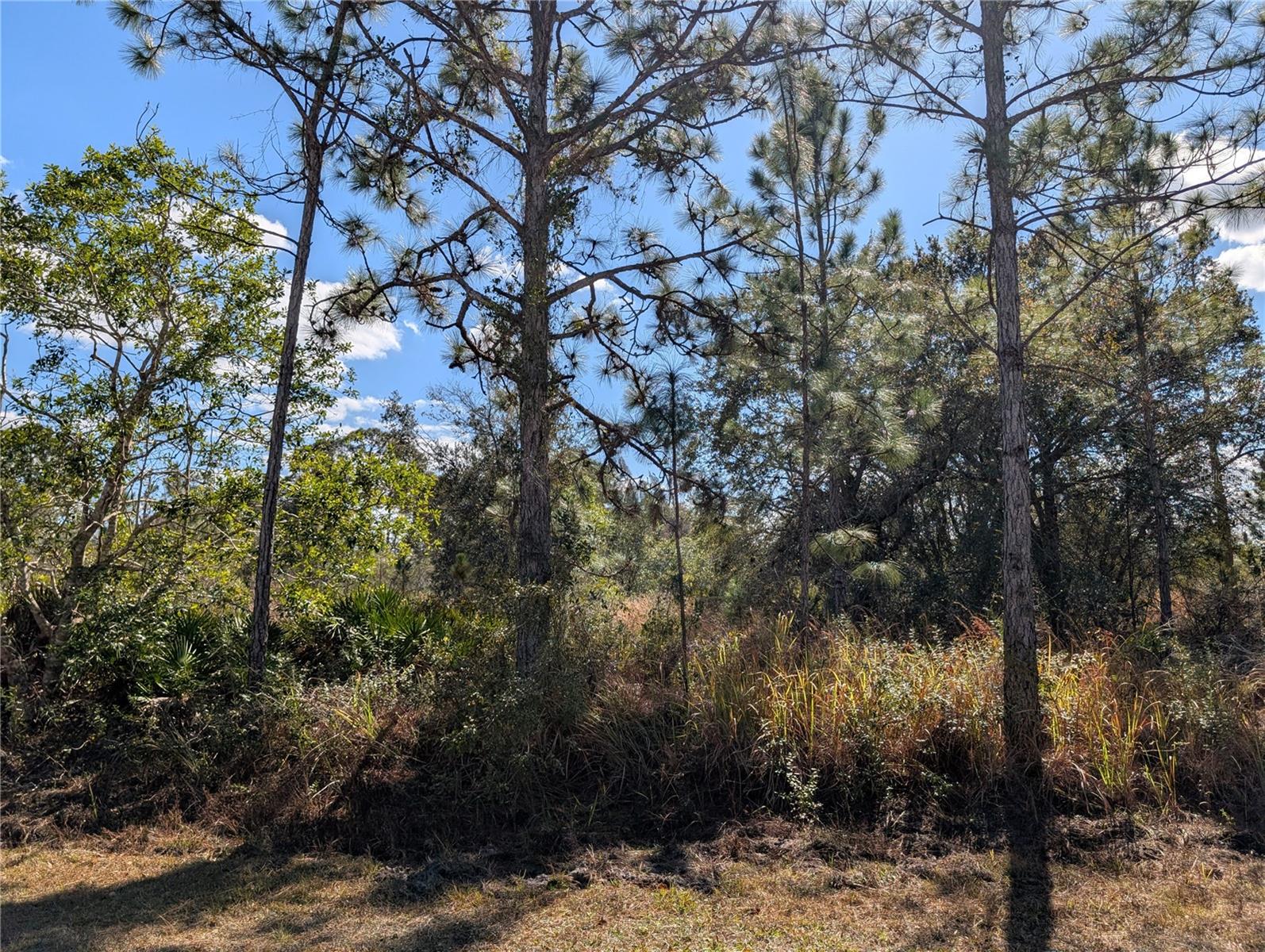711 AZALEA DR, INDIAN LAKE ESTATES, FL — photo 5
