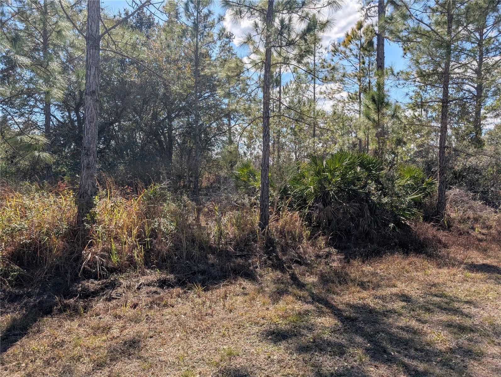 711 AZALEA DR, INDIAN LAKE ESTATES, FL — photo 7