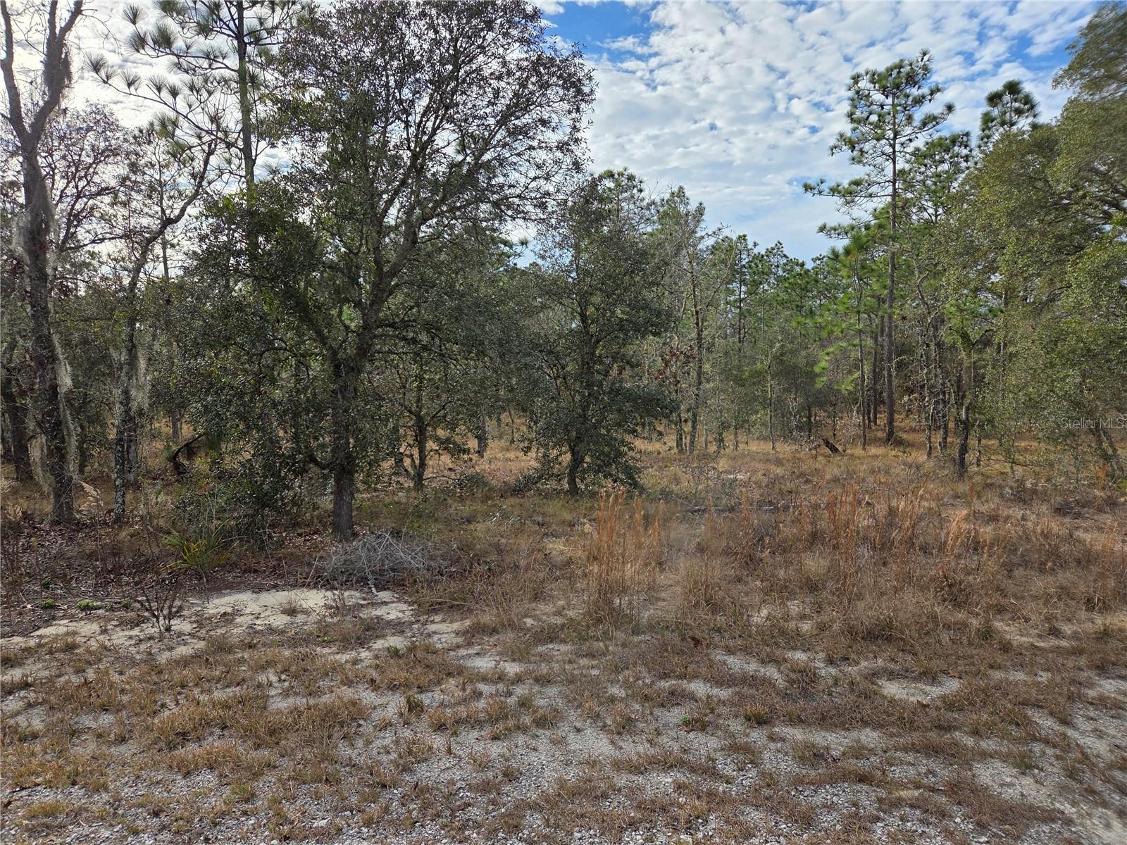 0000 SE 128TH AVE, DUNNELLON, FL