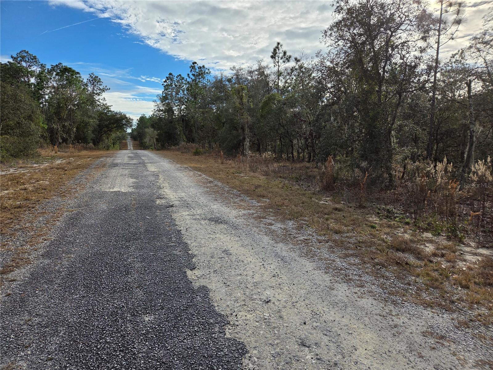 0000 SE 128TH AVE, DUNNELLON, FL — photo 2