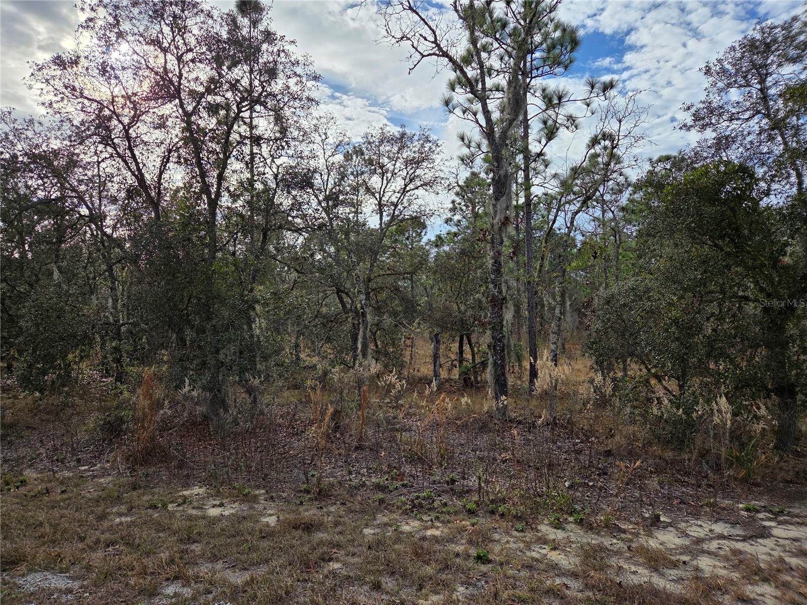 0000 SE 128TH AVE, DUNNELLON, FL — photo 3