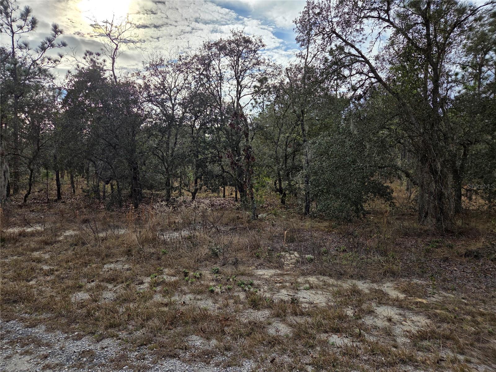 0000 SE 128TH AVE, DUNNELLON, FL — photo 4