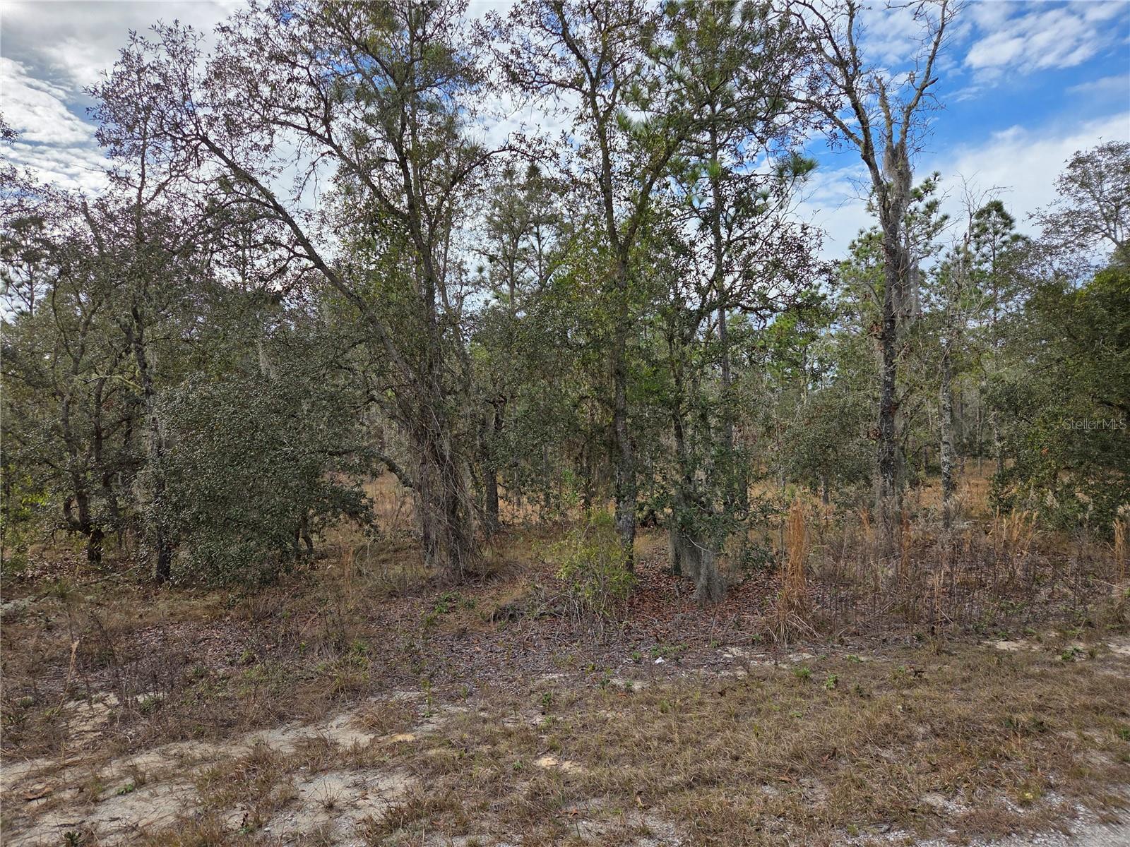 0000 SE 128TH AVE, DUNNELLON, FL — photo 5