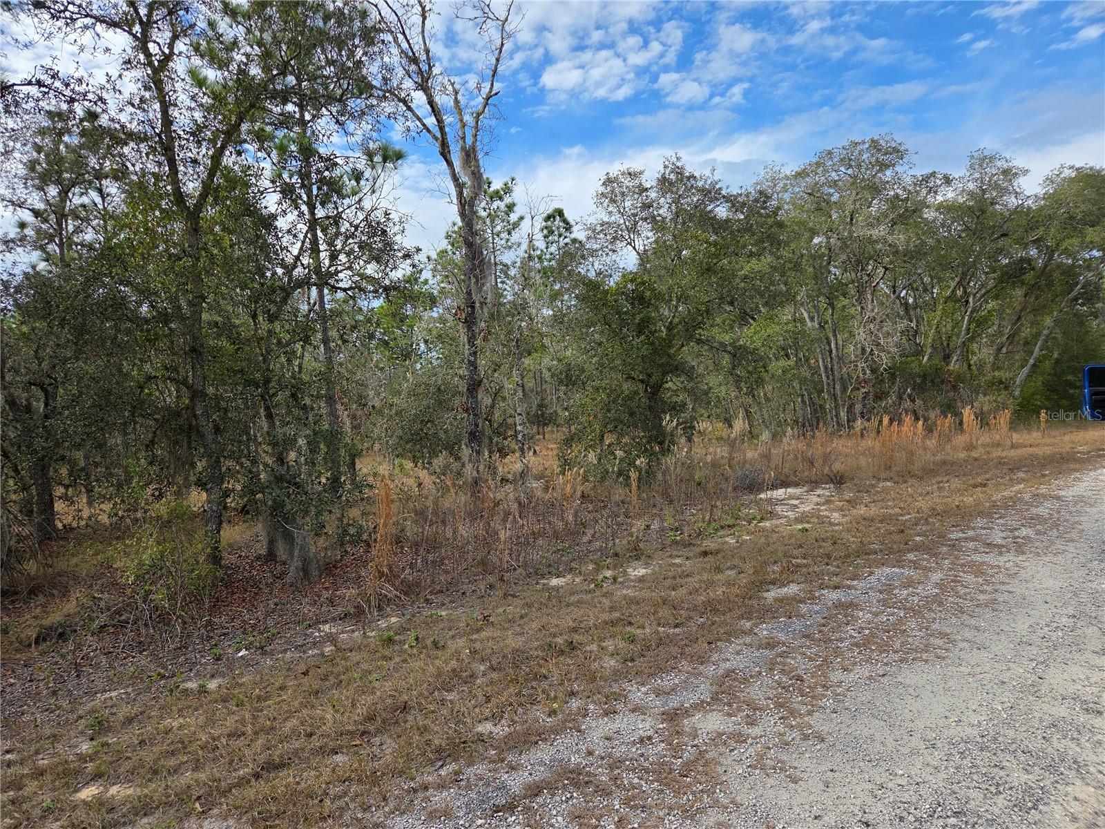 0000 SE 128TH AVE, DUNNELLON, FL — photo 6
