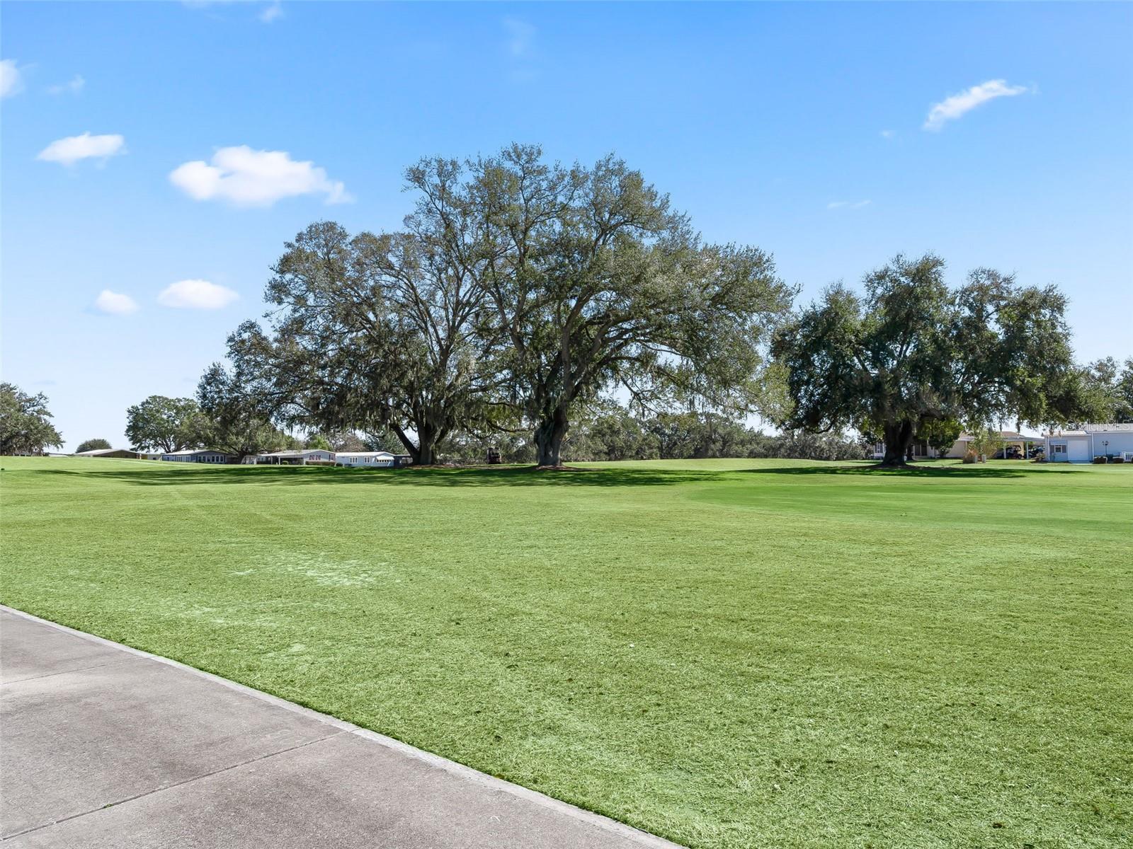 920 SAINT ANDREWS BLVD, THE VILLAGES, FL — photo 7