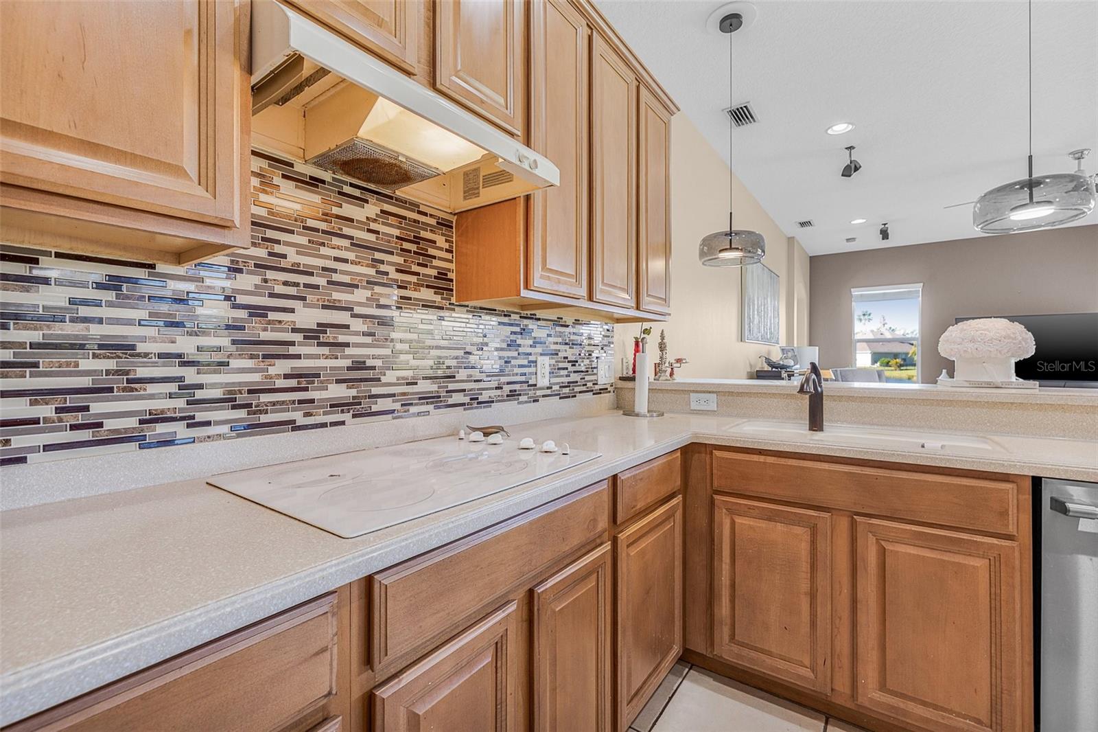 4315 70TH AVE E, ELLENTON, FL — photo 29