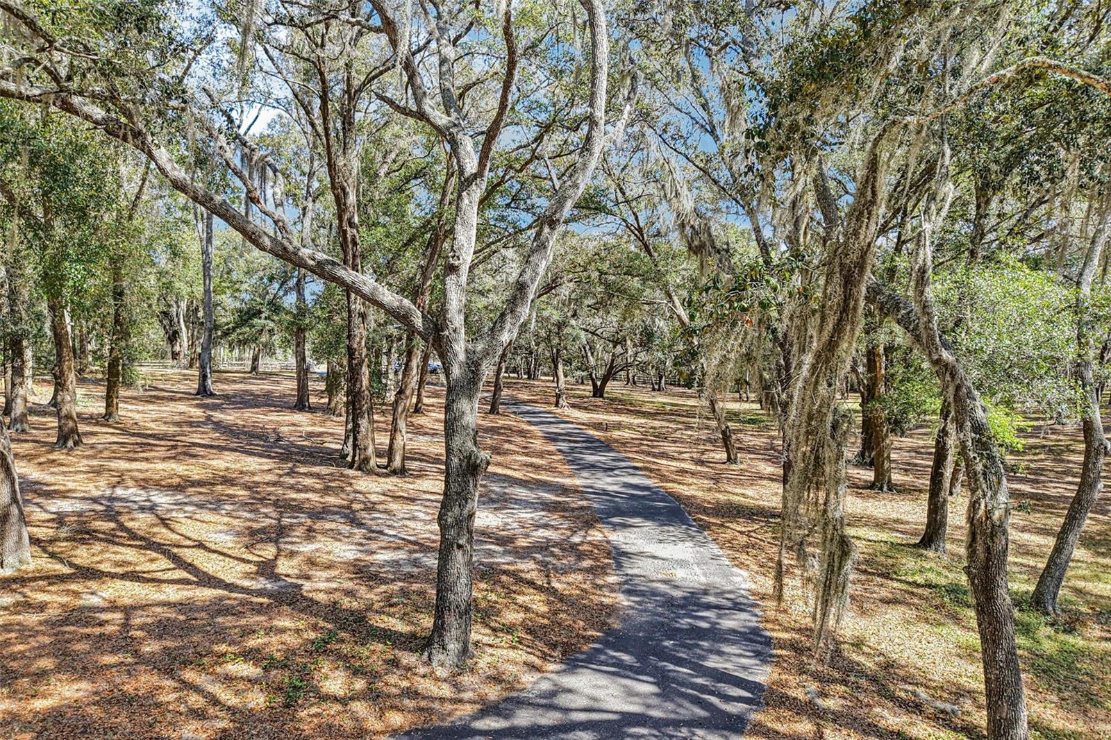 36530 LAZY B LN, EUSTIS, FL — photo 4