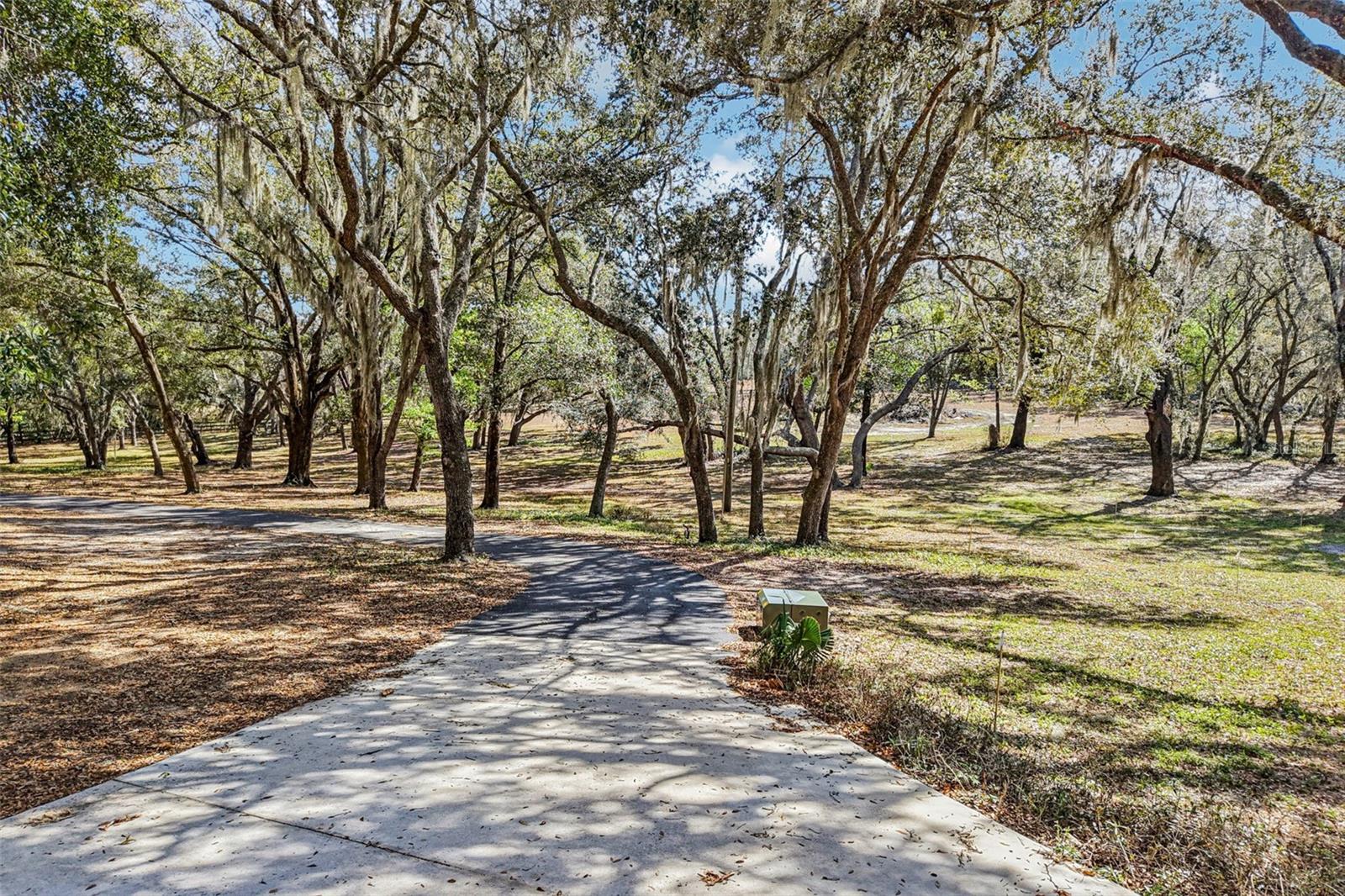 36530 LAZY B LN, EUSTIS, FL — photo 85
