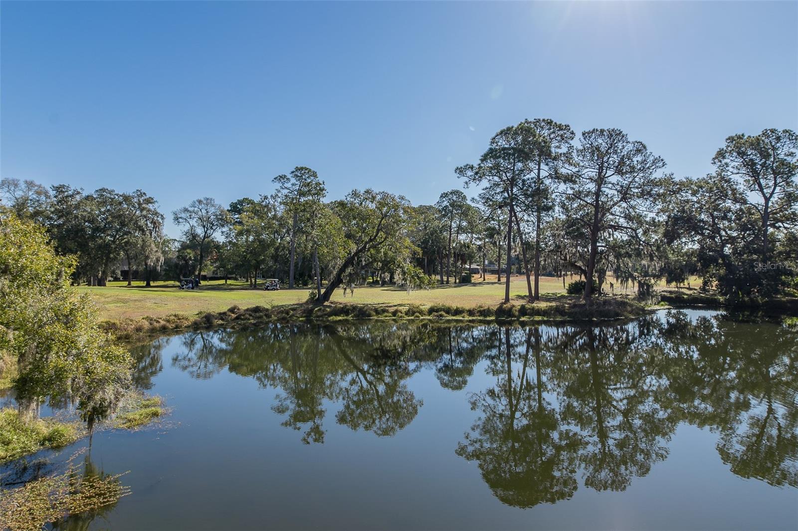 2676 TANGLEWOOD TRL, PALM HARBOR, FL — photo 4