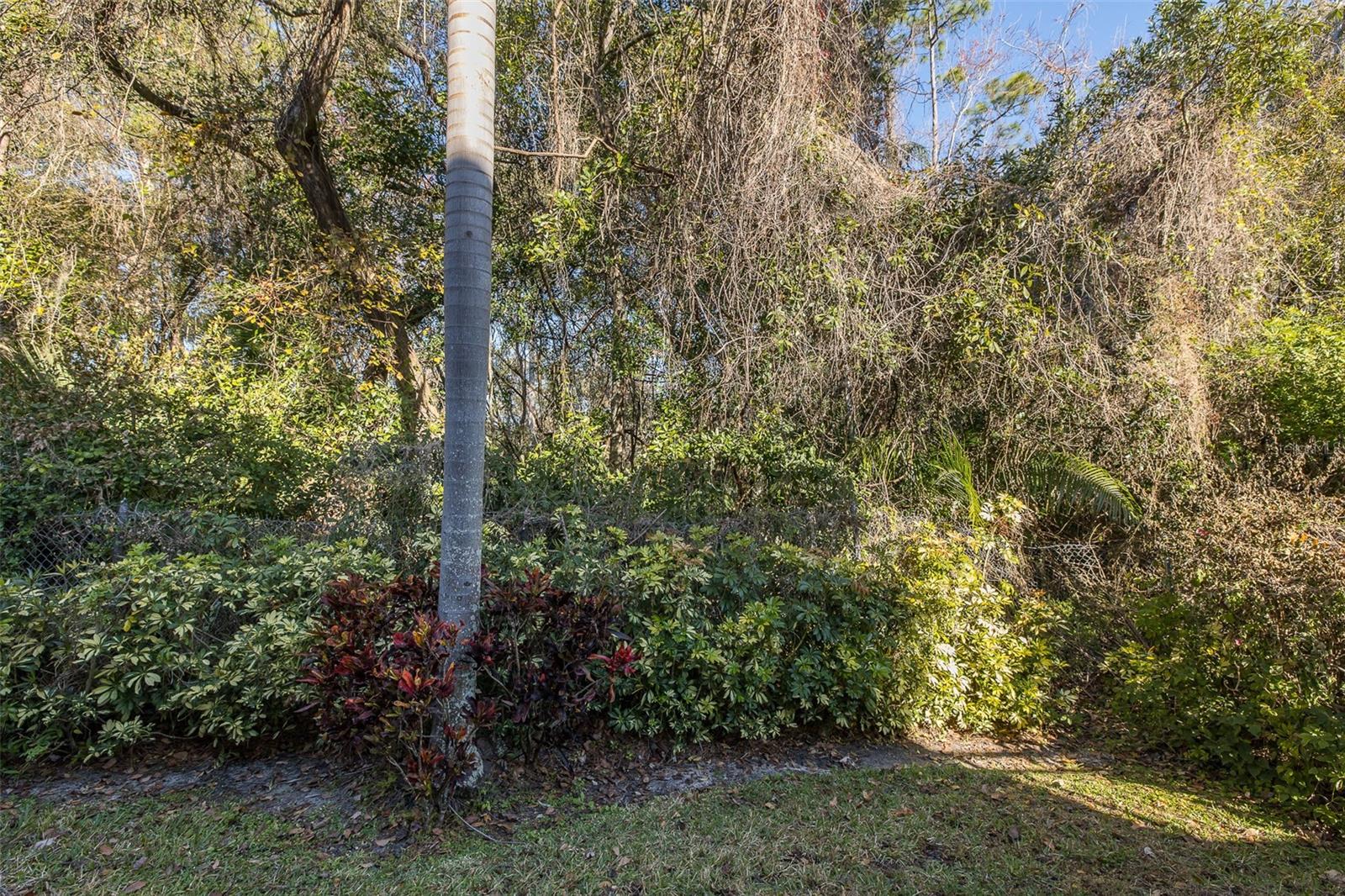 2676 TANGLEWOOD TRL, PALM HARBOR, FL — photo 10