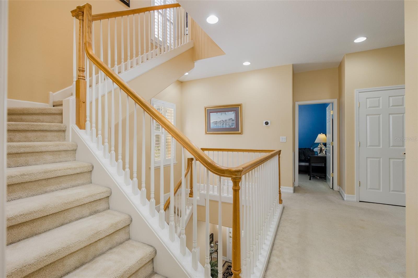 2676 TANGLEWOOD TRL, PALM HARBOR, FL — photo 30