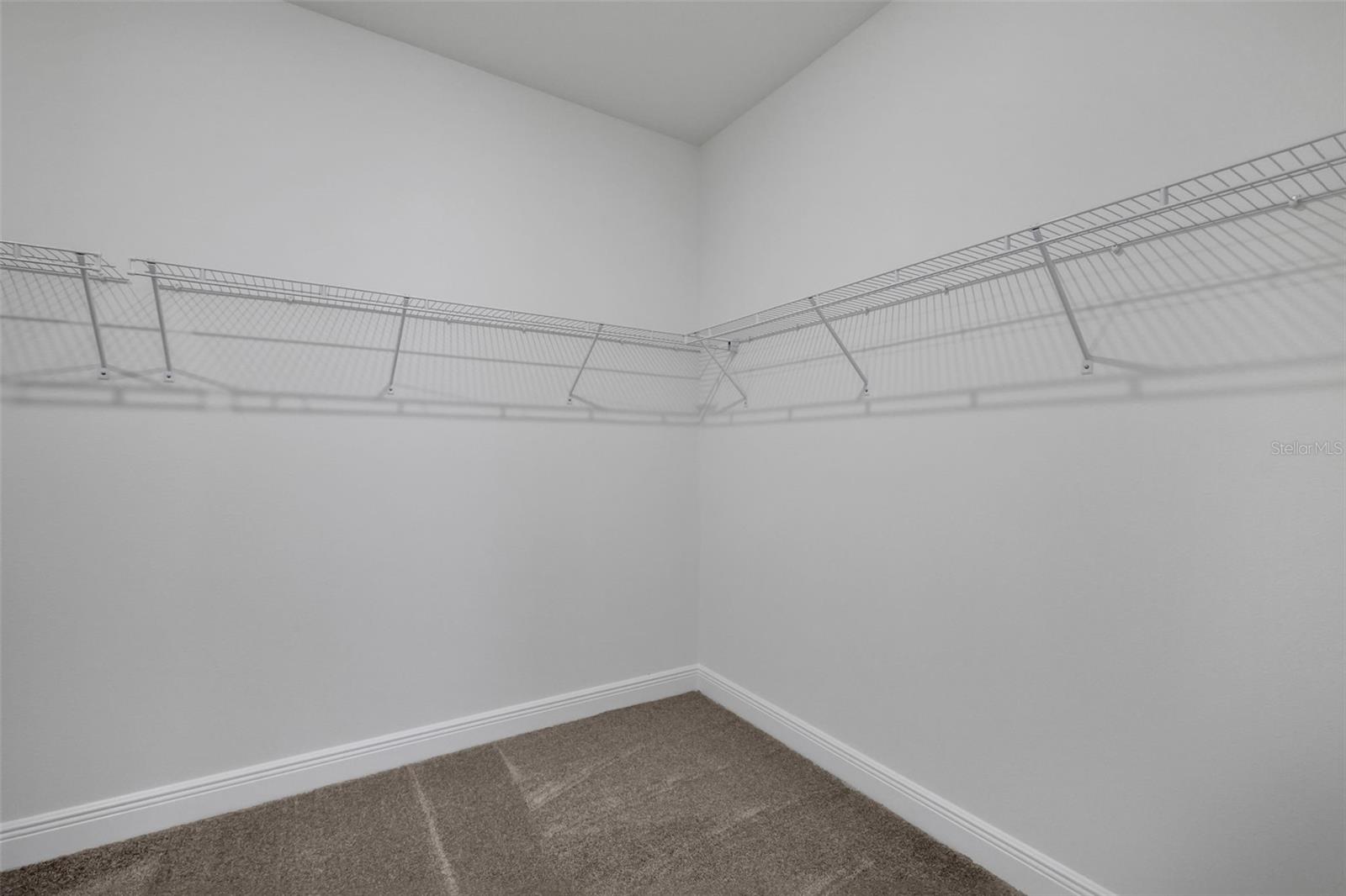 17374 CRISP APPLE LN, LAND O LAKES, FL — photo 15