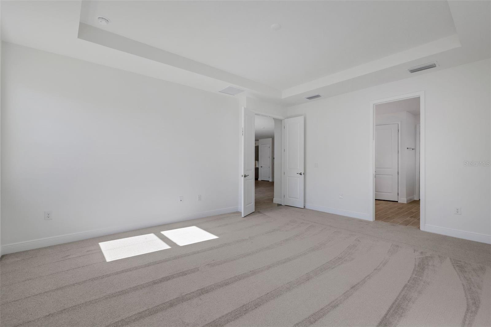 17374 CRISP APPLE LN, LAND O LAKES, FL — photo 18