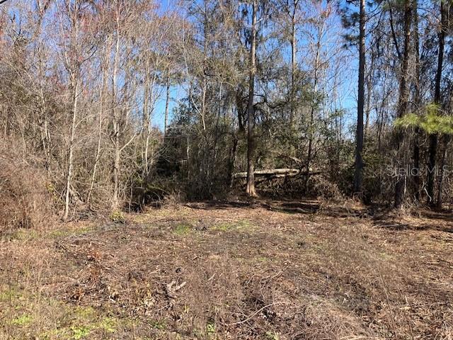 1881 HAZELNUT ST, BUNNELL, FL
