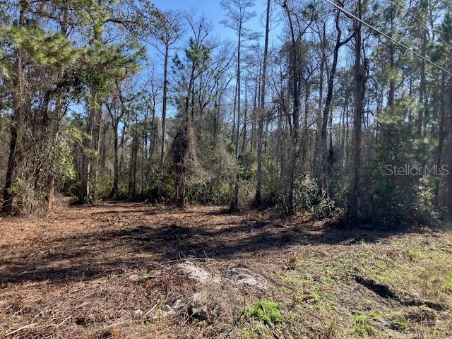 1881 HAZELNUT ST, BUNNELL, FL — photo 2