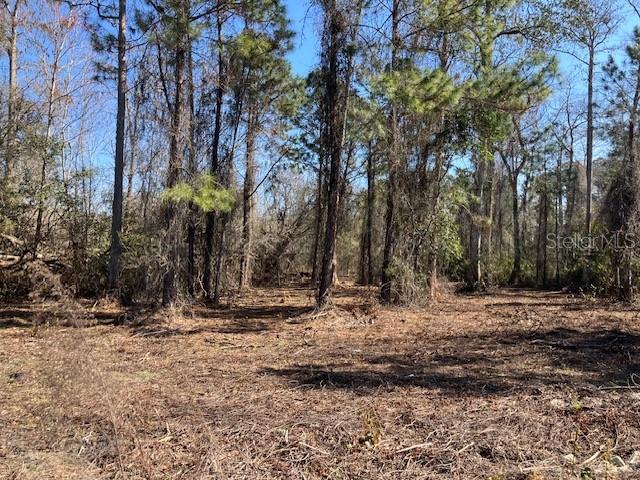 1881 HAZELNUT ST, BUNNELL, FL — photo 3