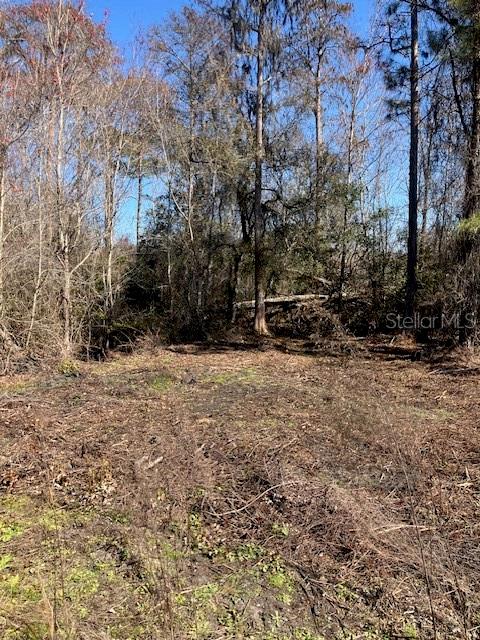 1881 HAZELNUT ST, BUNNELL, FL — photo 4