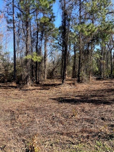 1881 HAZELNUT ST, BUNNELL, FL — photo 5