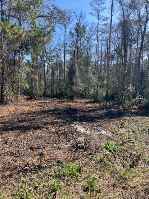 1881 HAZELNUT ST, BUNNELL, FL — photo 6