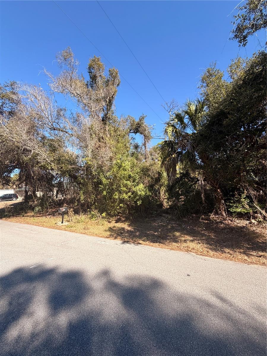 384 SKYLAND LN, PORT CHARLOTTE, FL — photo 5