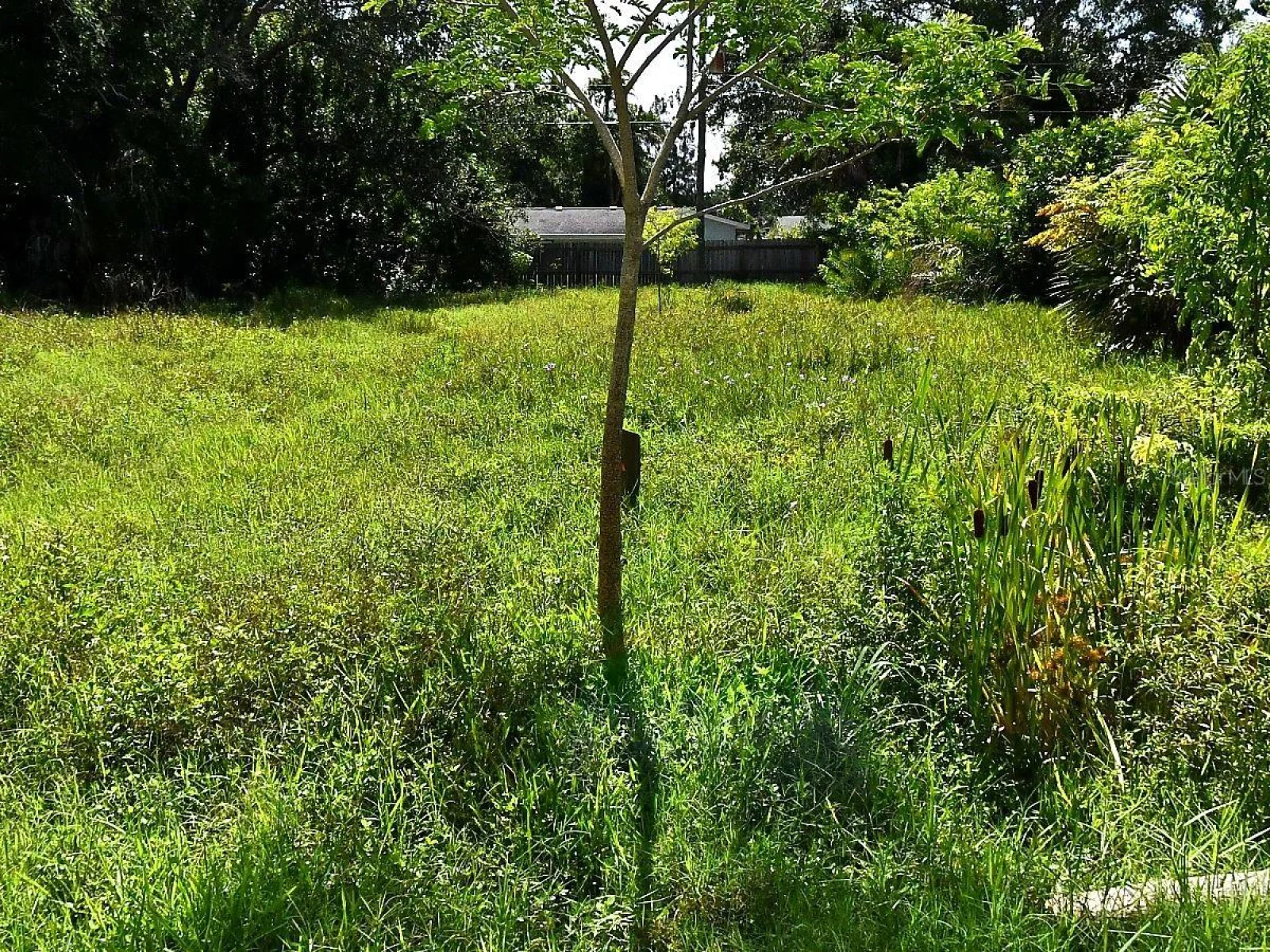 OLIVE AVE, NOKOMIS, FL — photo 2