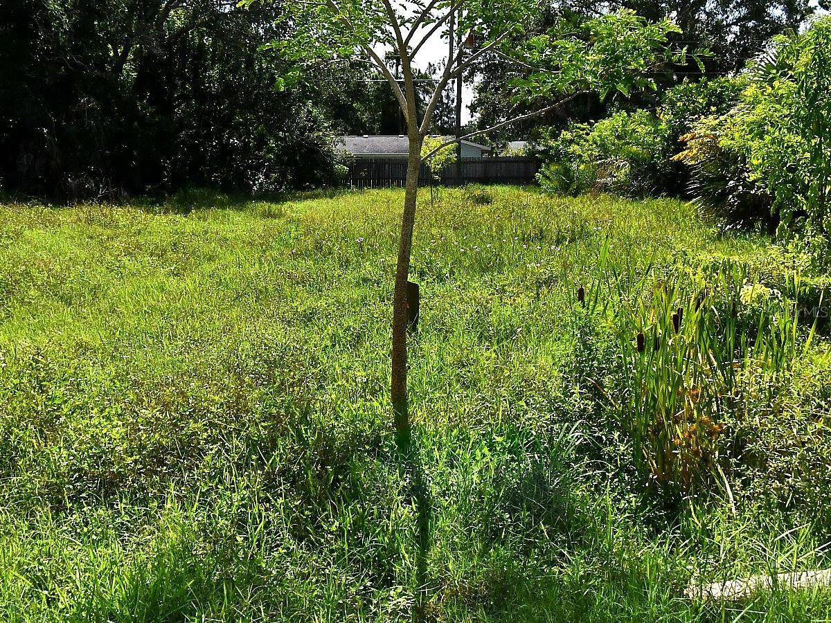 OLIVE AVE, NOKOMIS, FL
