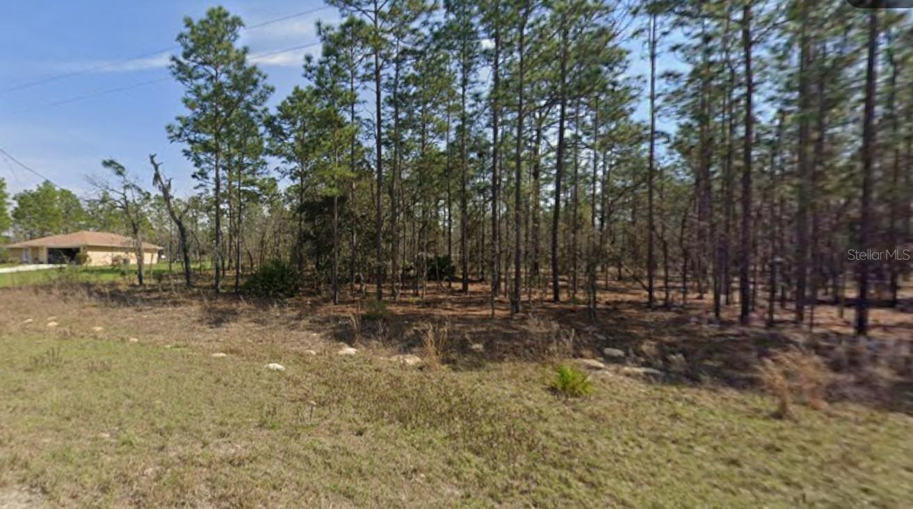 0 SW 125TH COURT RD, OCALA, FL — photo 2