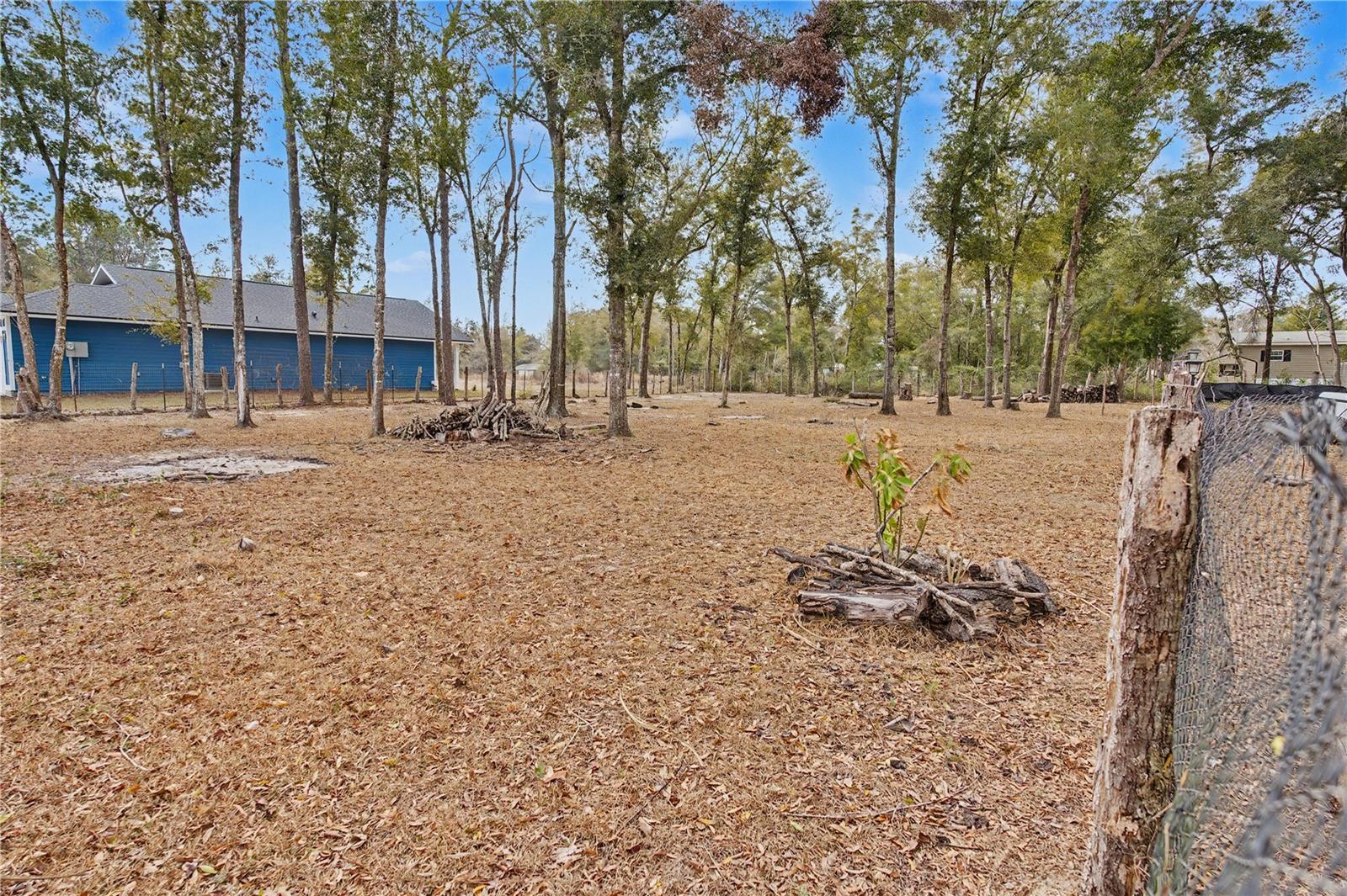 5710 NE 140TH CT, WILLISTON, FL — photo 33