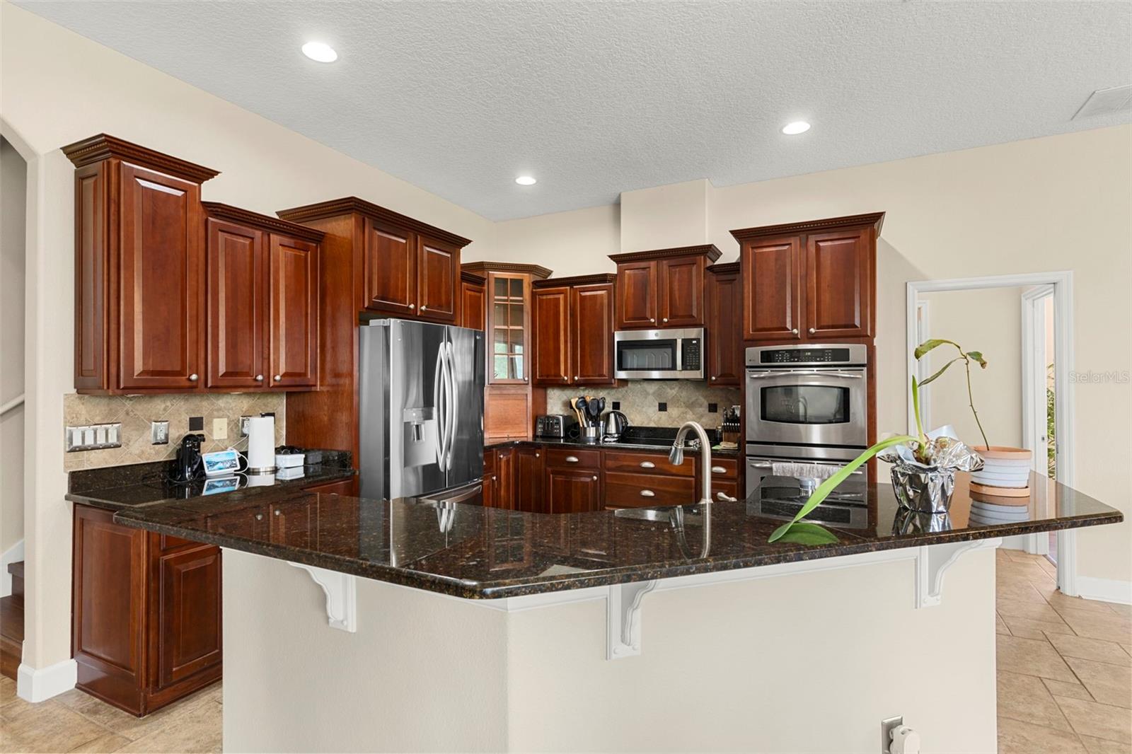 6234 TREMAYNE DR, MOUNT DORA, FL — photo 5