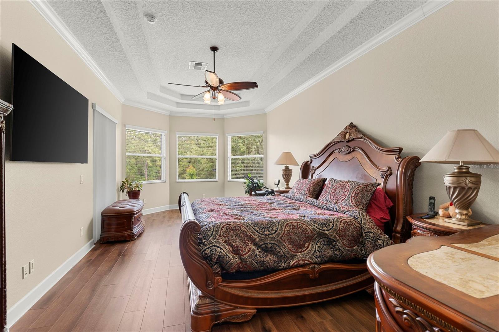 6234 TREMAYNE DR, MOUNT DORA, FL — photo 7
