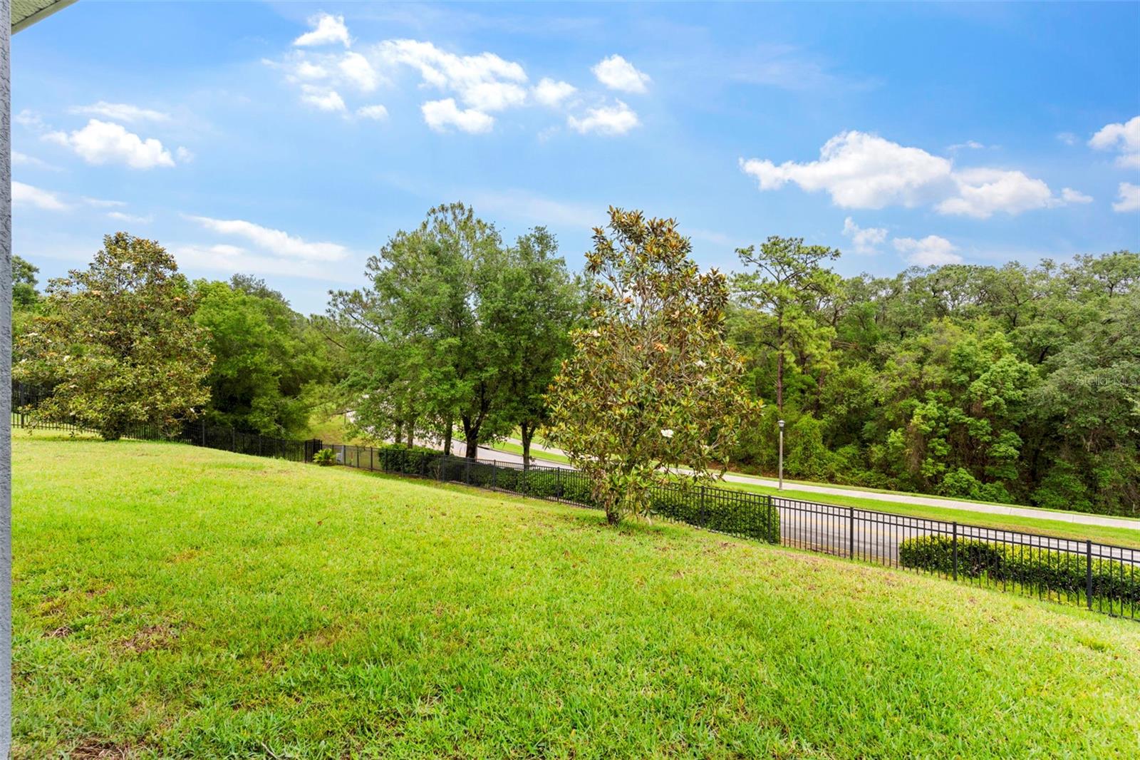6234 TREMAYNE DR, MOUNT DORA, FL — photo 11
