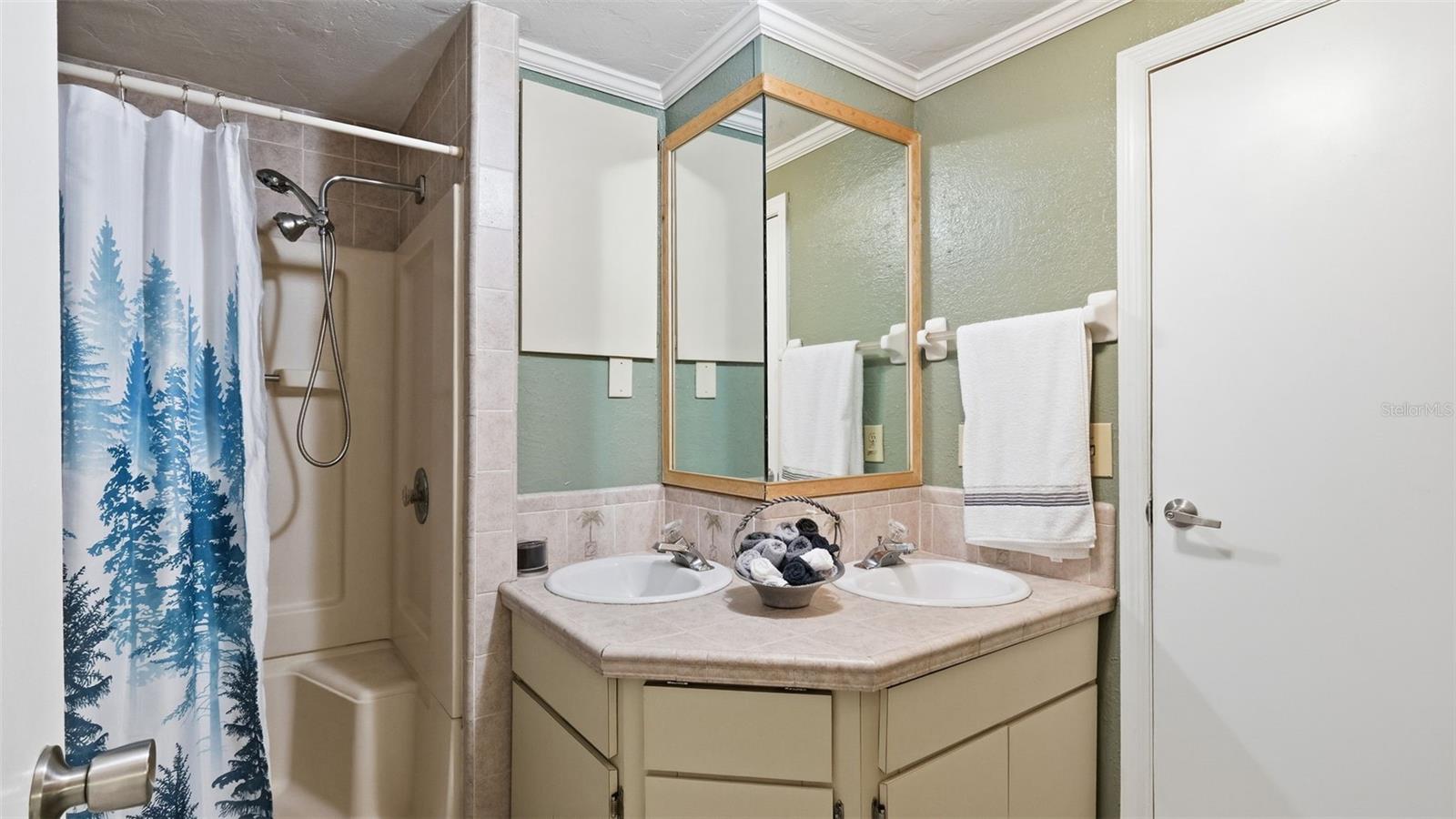 10565 BESSEMER ST, NEW PORT RICHEY, FL — photo 18