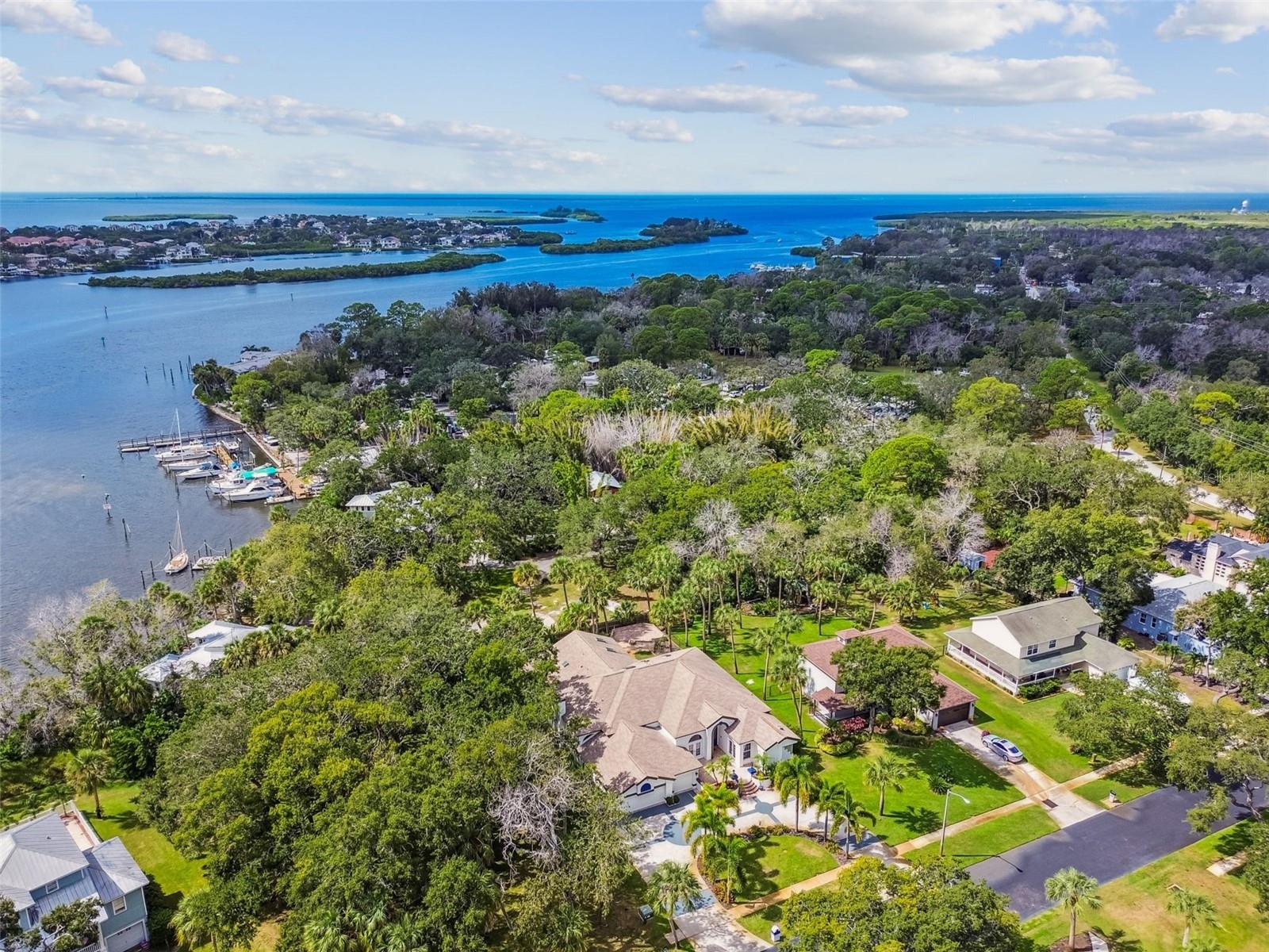 1705 MEYERS COVE DR, TARPON SPRINGS, FL — photo 61