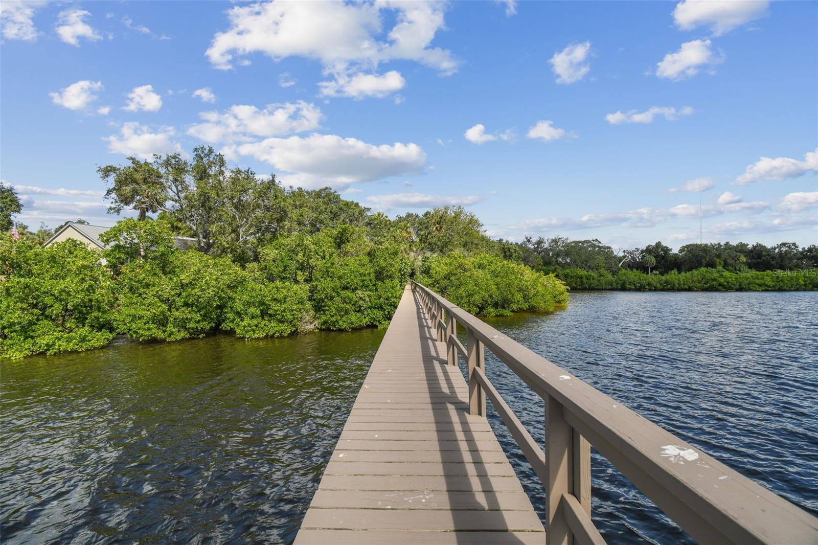 1705 MEYERS COVE DR, TARPON SPRINGS, FL — photo 72