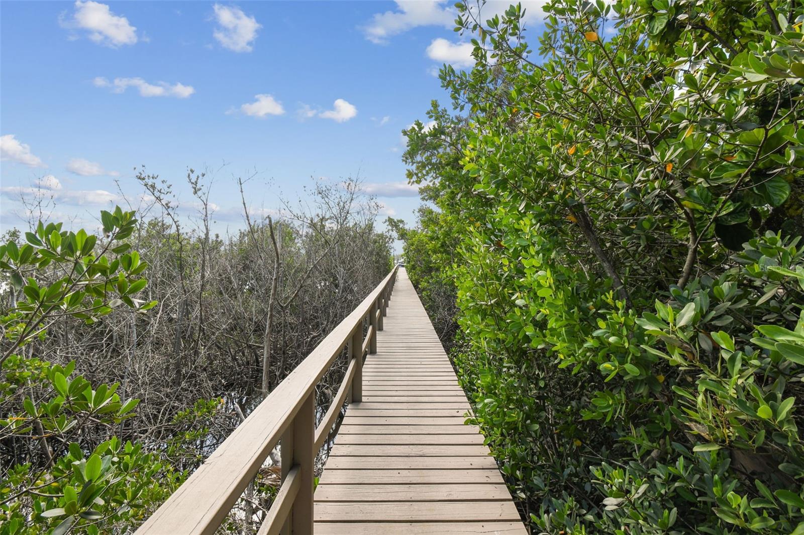 1705 MEYERS COVE DR, TARPON SPRINGS, FL — photo 74