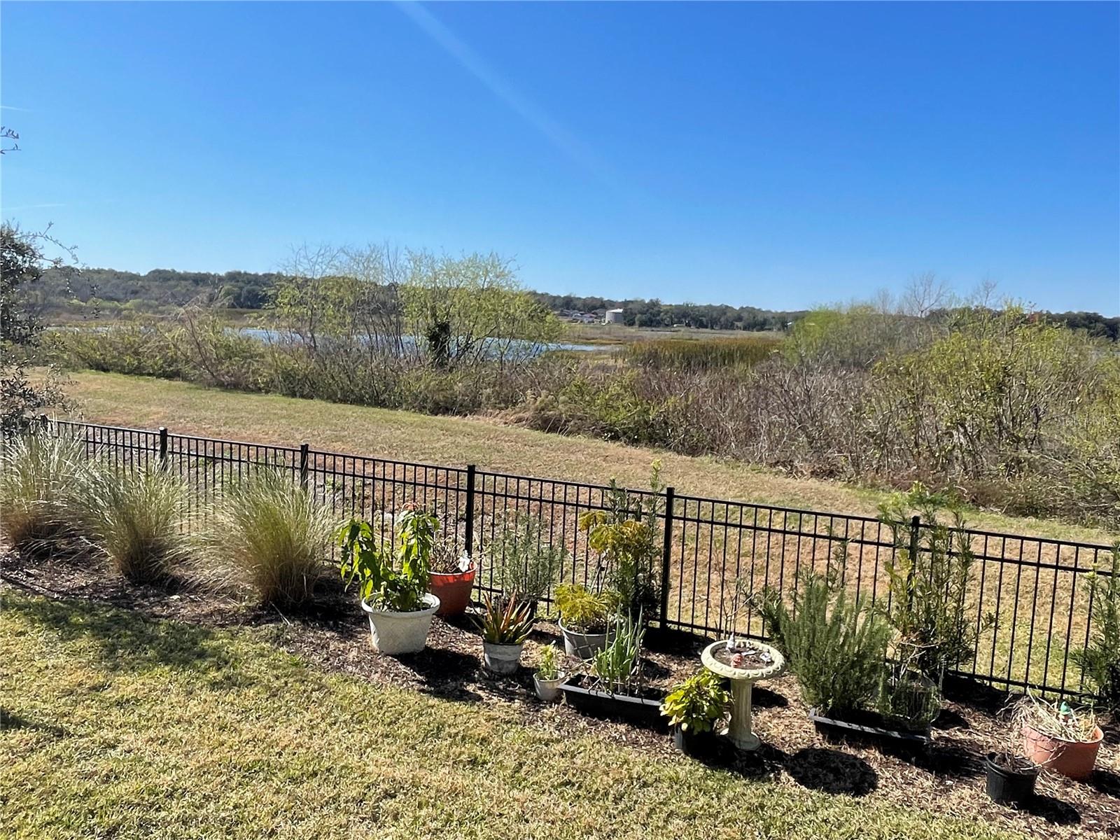 1848 TERRAPIN RD, OCOEE, FL — photo 50