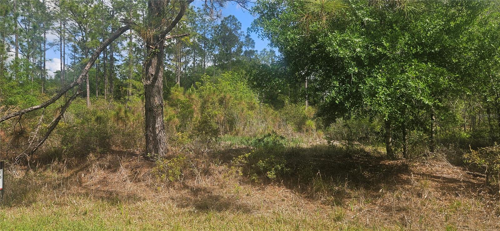 408 PANDORA DR, INDIAN LAKE ESTATES, FL — photo 2