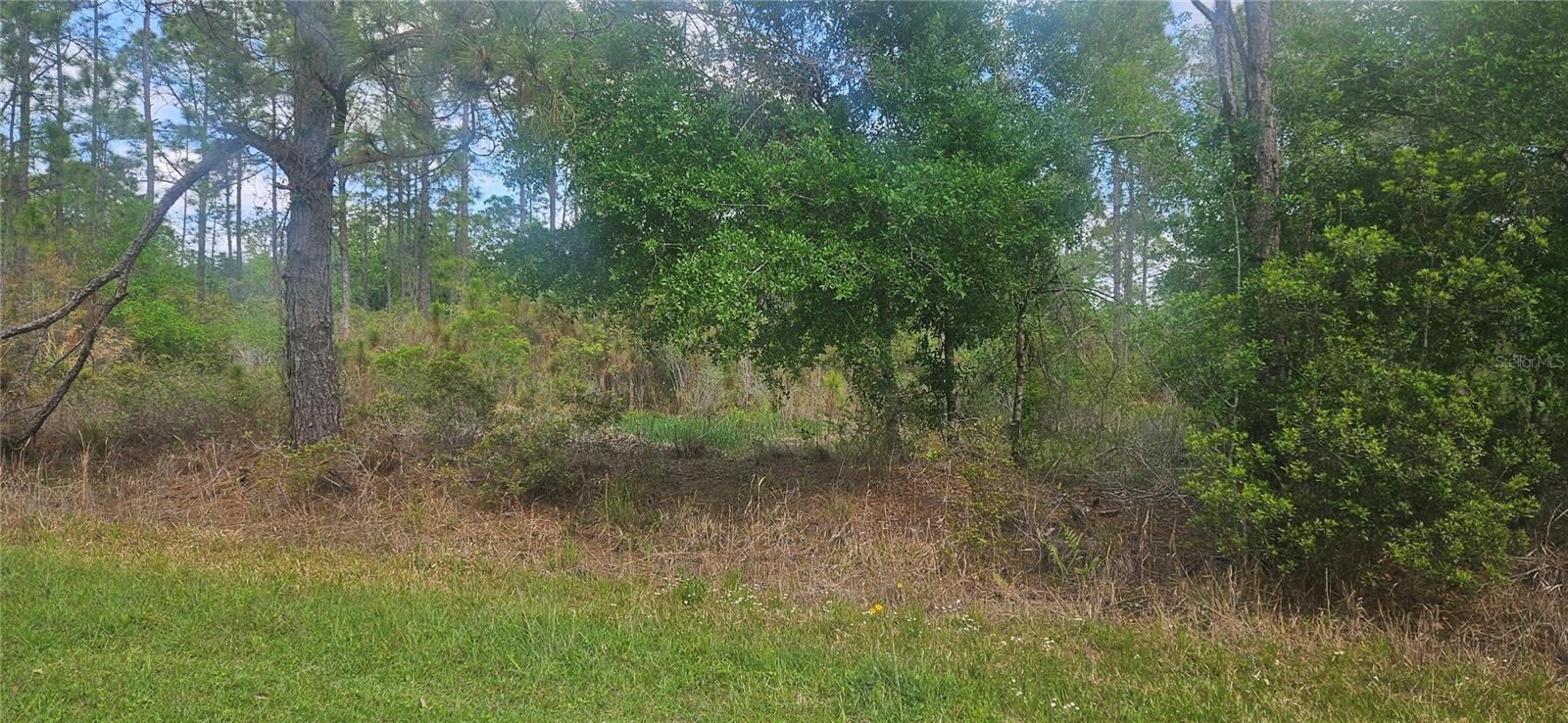 408 PANDORA DR, INDIAN LAKE ESTATES, FL — photo 3
