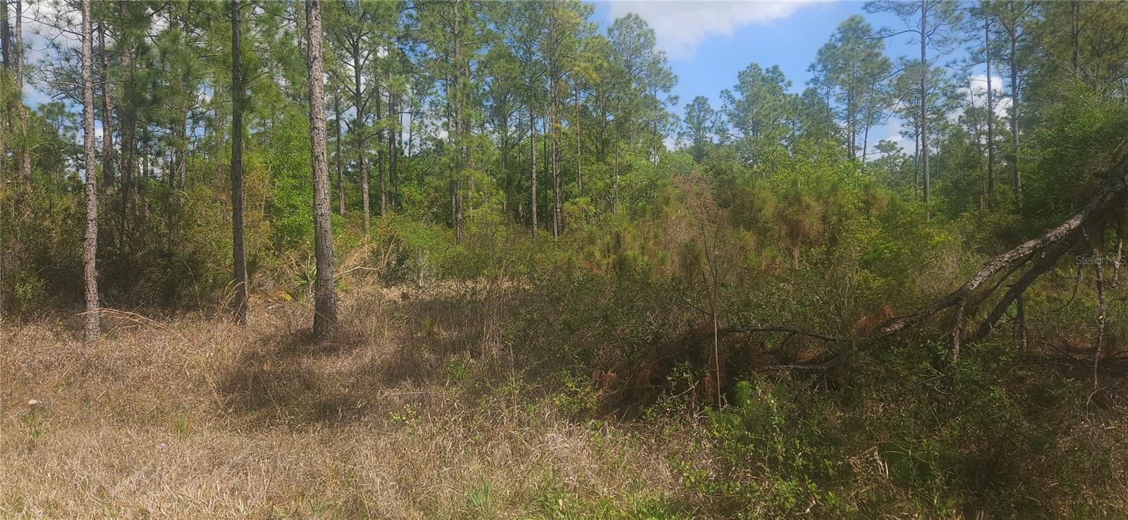 408 PANDORA DR, INDIAN LAKE ESTATES, FL — photo 4