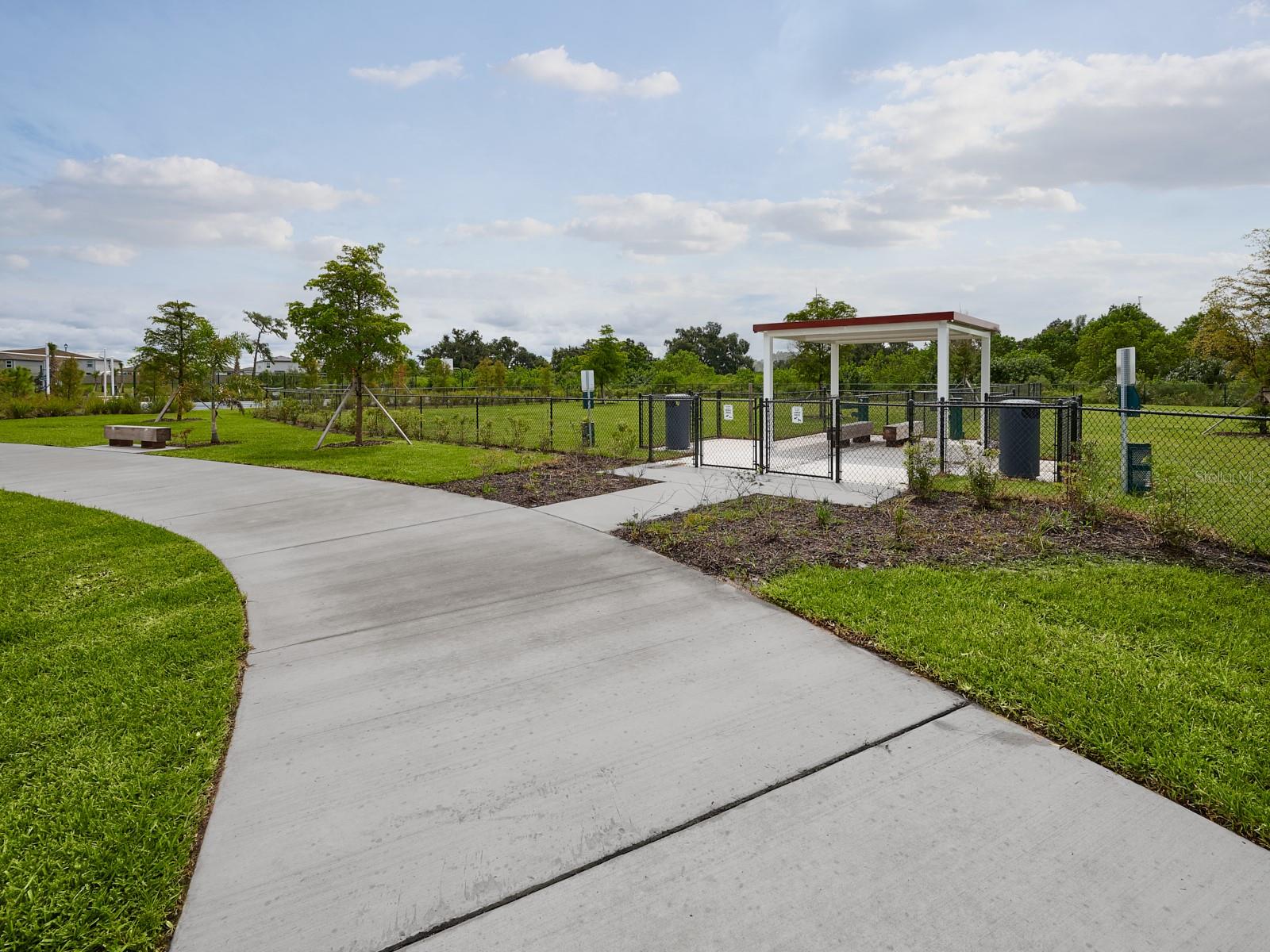 3335 ORCHARD LOOP, BARTOW, FL — photo 38