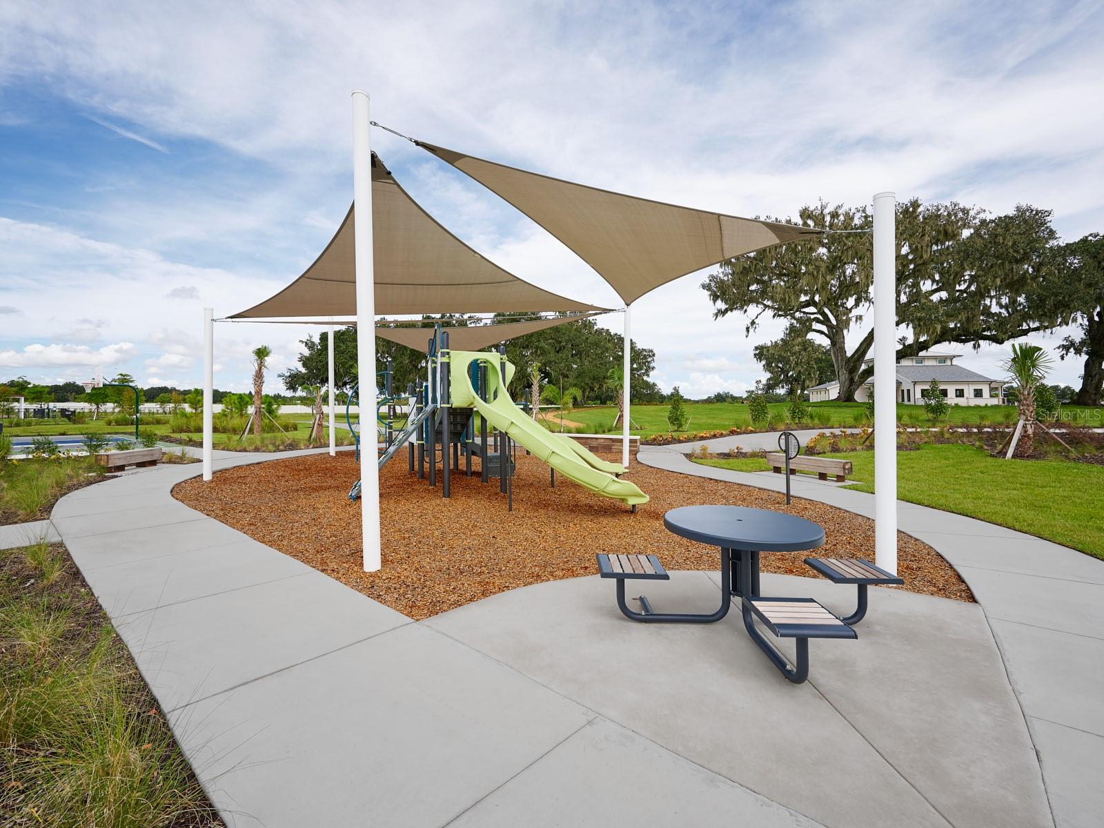 3335 ORCHARD LOOP, BARTOW, FL — photo 43
