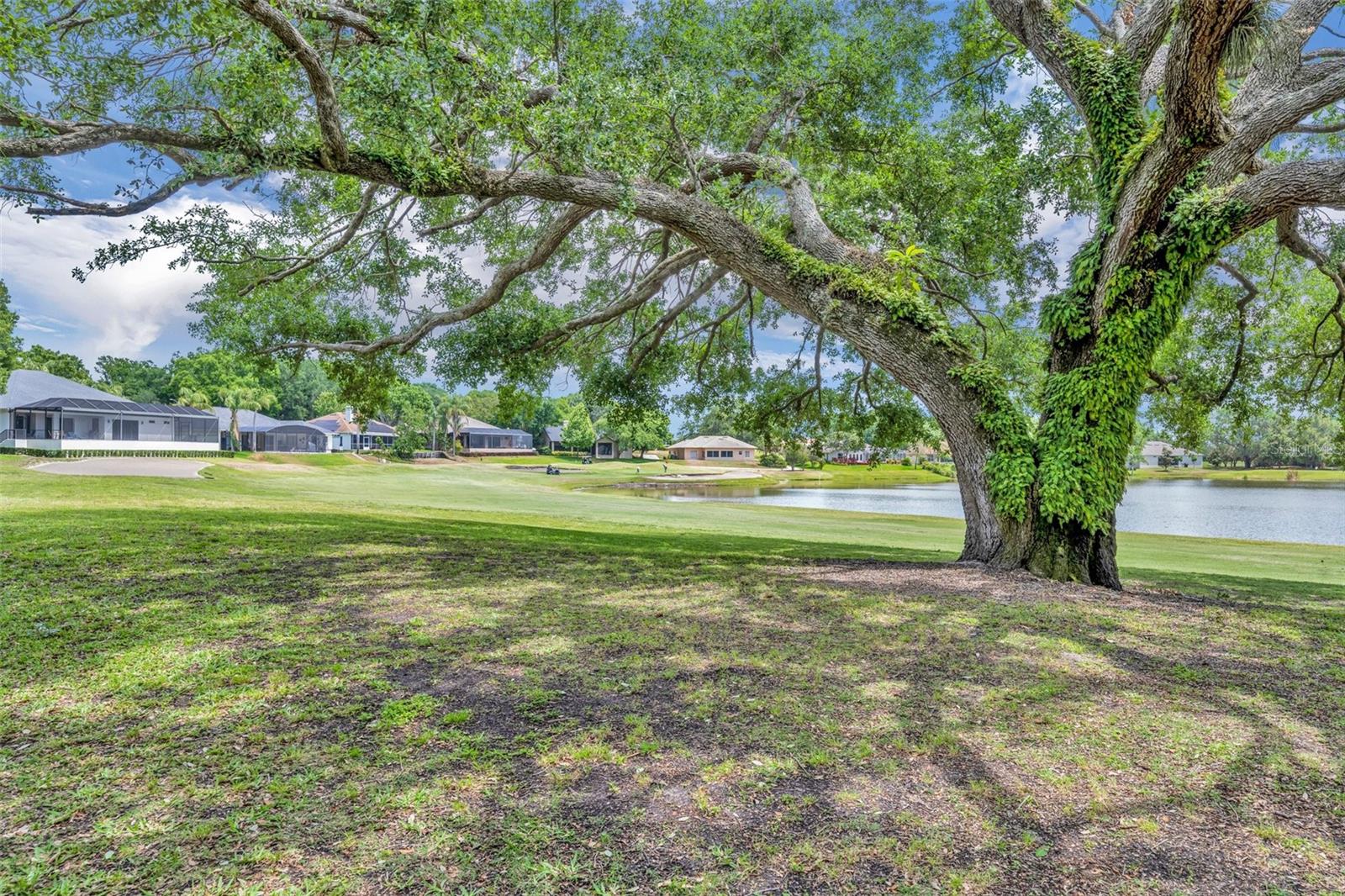 15001 GREEN VALLEY BLVD, CLERMONT, FL — photo 112