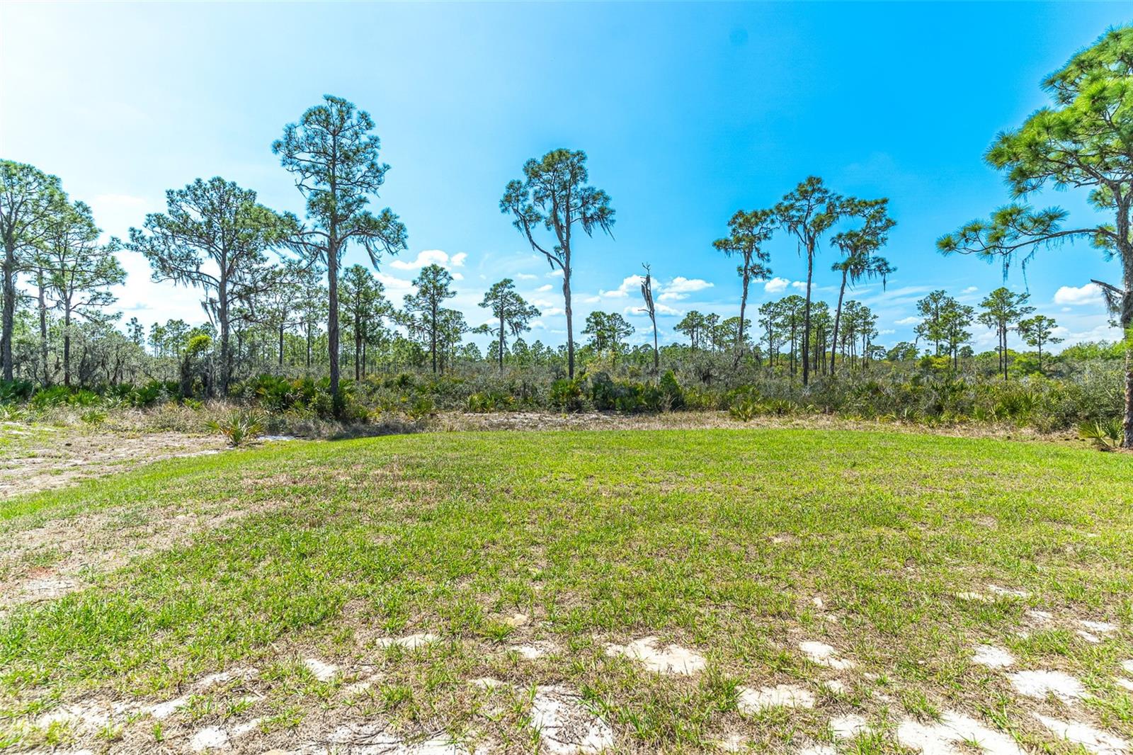 1411 BITTERSWEET ST, LAKE PLACID, FL — photo 12